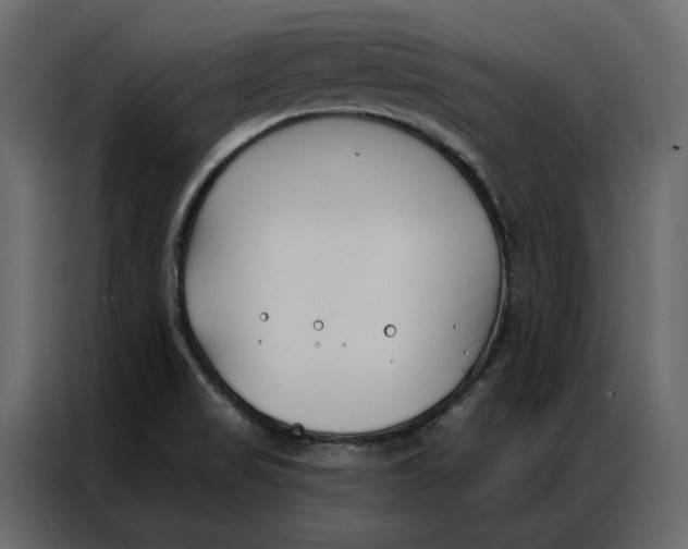 X0000086901517200705071233