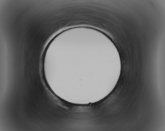 X0000086901518200705071233