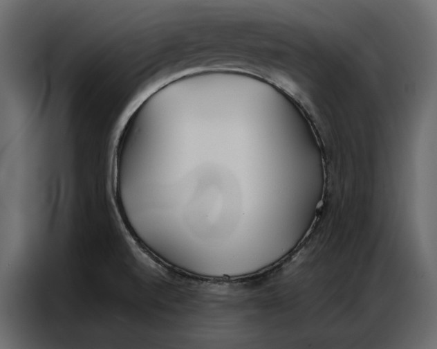 X0000086901520200705071233