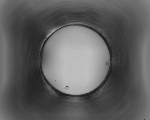 X0000086901521200705071233