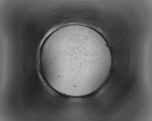 X0000086901522200705071233