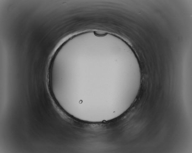 X0000086901523200705071233