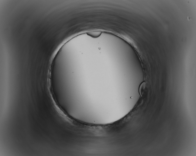 X0000086901524200705071233