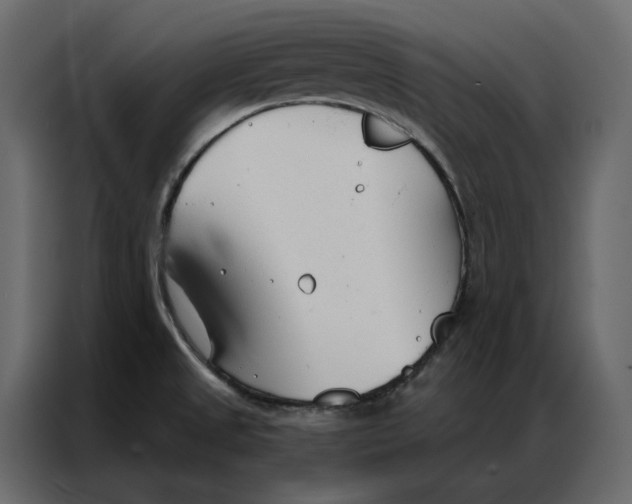 X0000086901525200705071233