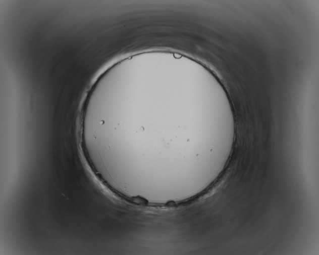 X0000086901526200705071233