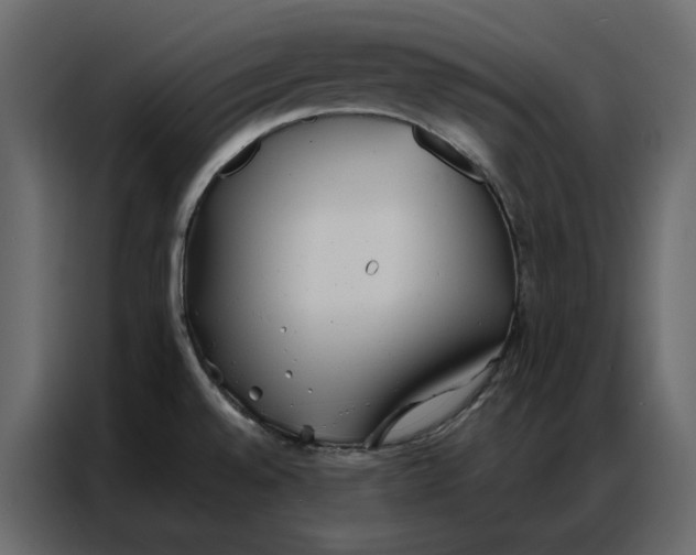 X0000086901528200705071233