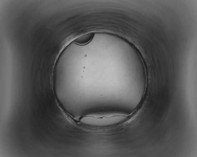 X0000086901529200705071233