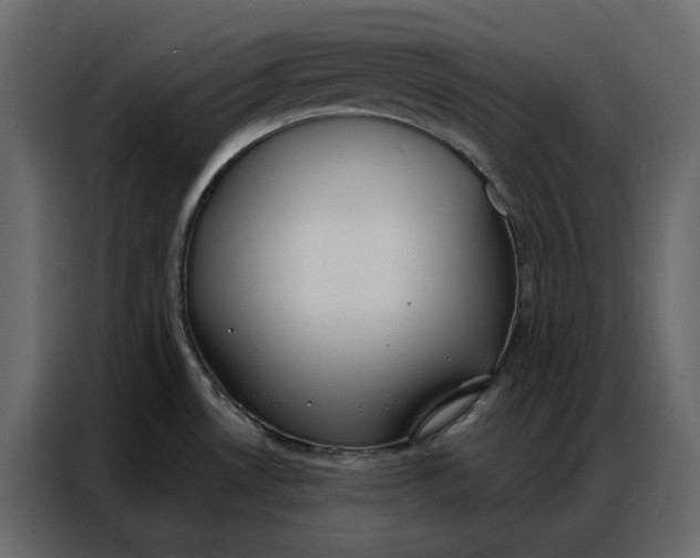 X0000086901530200705071233