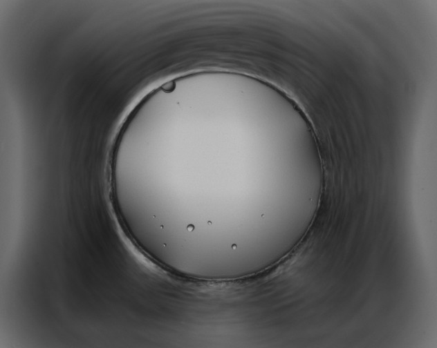 X0000086901531200705071233