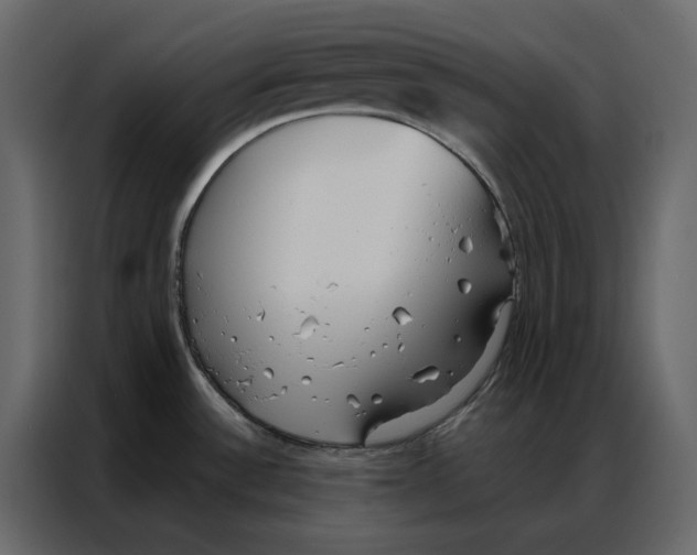 X0000086901532200705071233