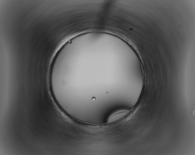 X0000086901533200705071233