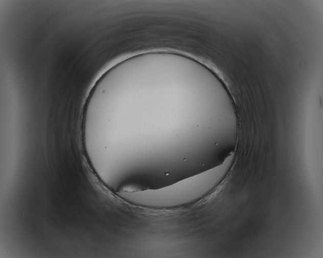 X0000086901534200705071233