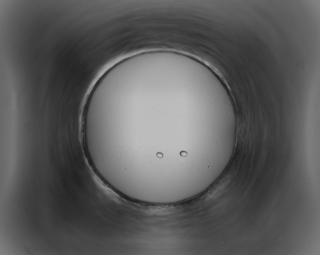 X0000086901535200705071233