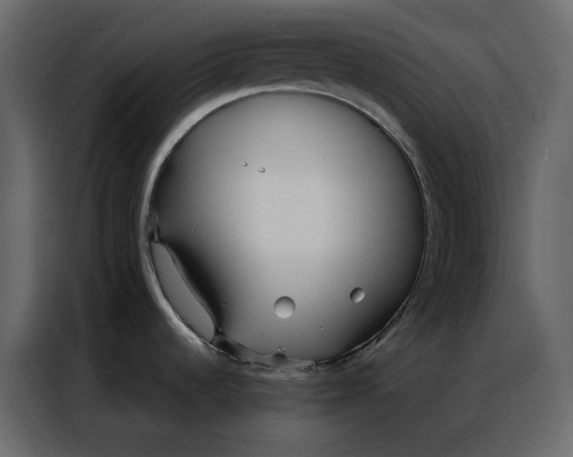 X0000086901536200705071233