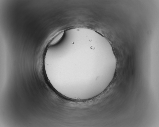 X0000086900005200705141652