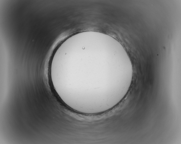 X0000086900006200705141652