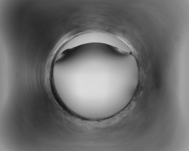 X0000086900007200705141652