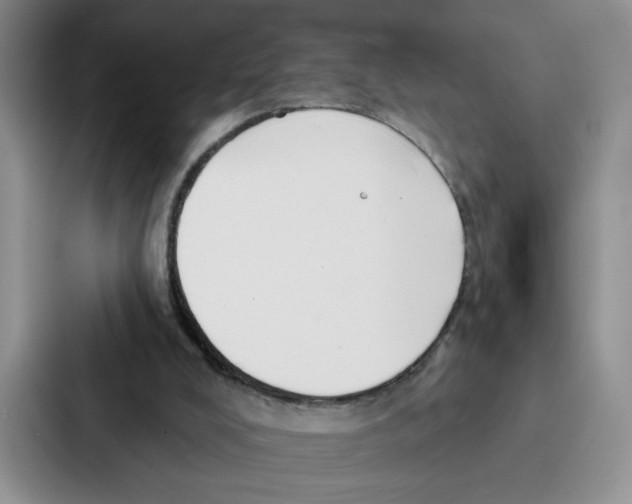 X0000086900008200705141652