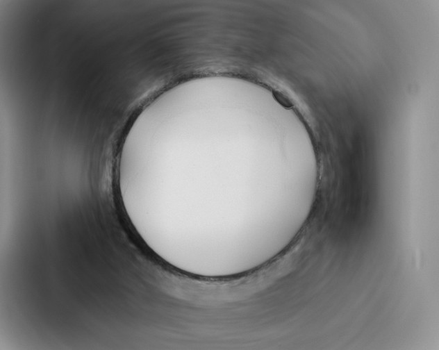 X0000086900010200705141652