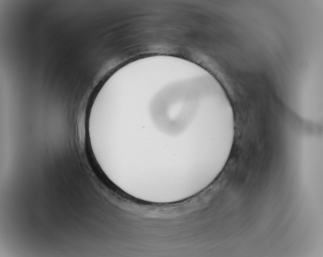 X0000086900011200705141651