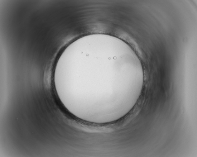 X0000086900012200705141651