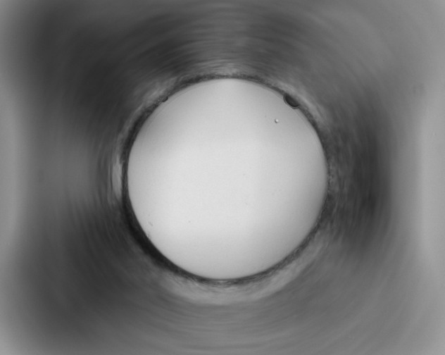 X0000086900014200705141651