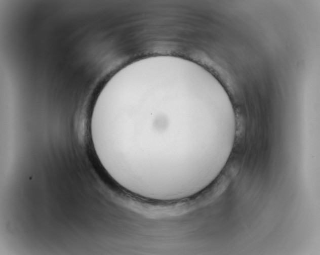 X0000086900016200705141651