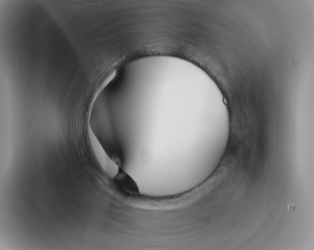 X0000086900017200705141651