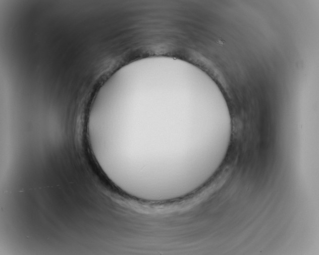 X0000086900018200705141651