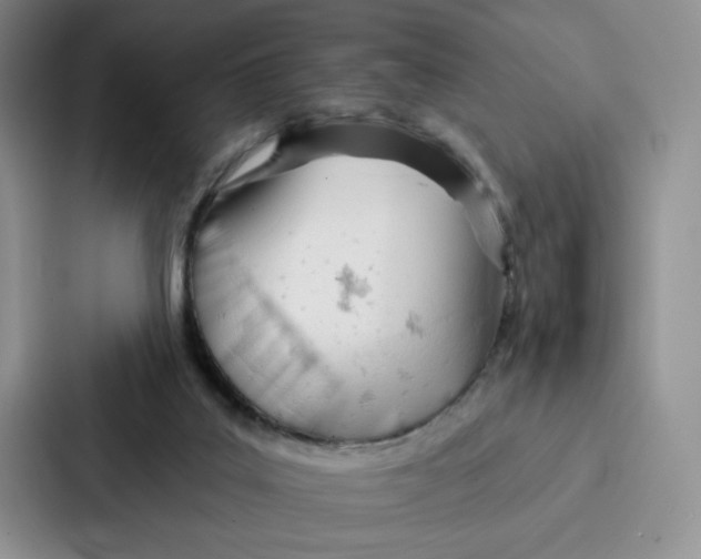 X0000086900019200705141651