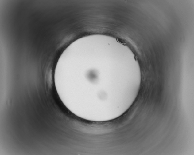 X0000086900020200705141651