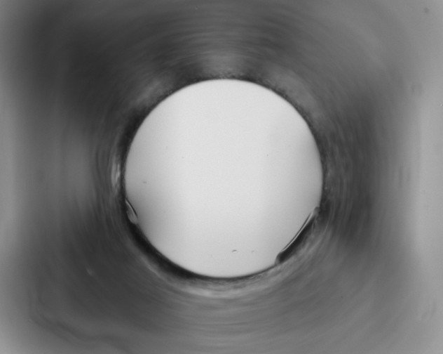 X0000086900021200705141651