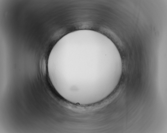 X0000086900022200705141651