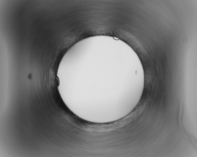 X0000086900025200705141651