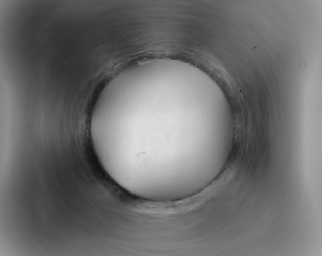 X0000086900029200705141651