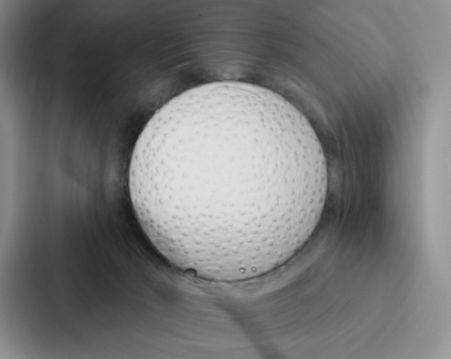 X0000086900030200705141651