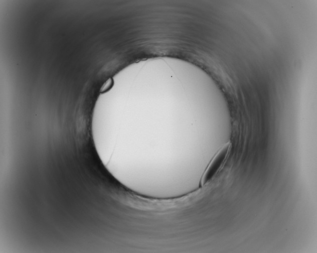 X0000086900031200705141651