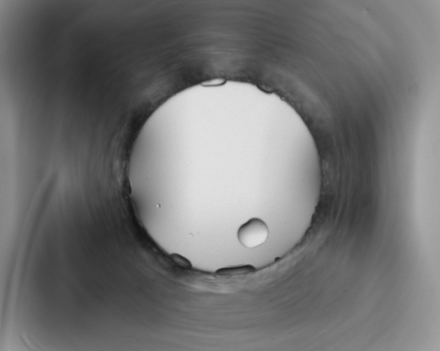 X0000086900033200705141651