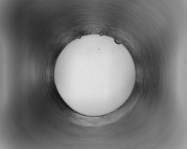 X0000086900034200705141651