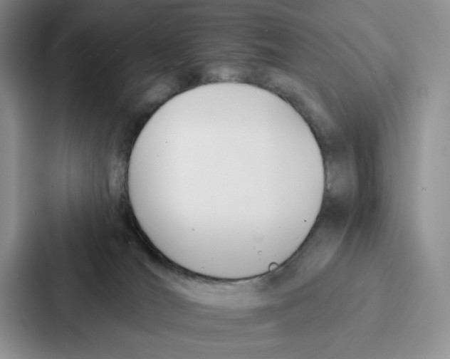 X0000086900036200705141651