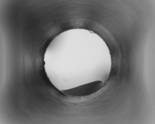 X0000086900037200705141651