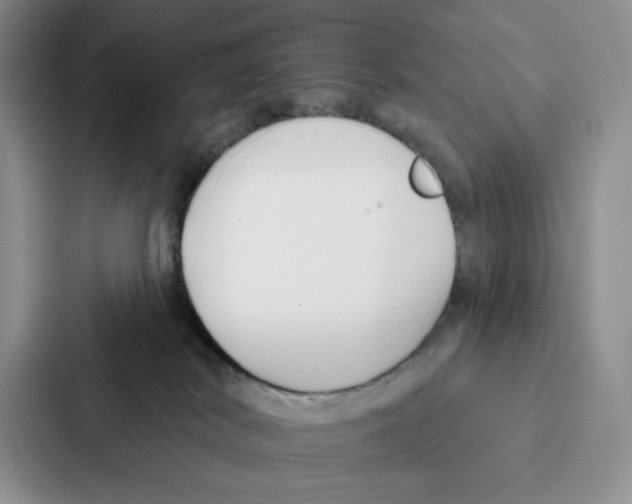 X0000086900038200705141651