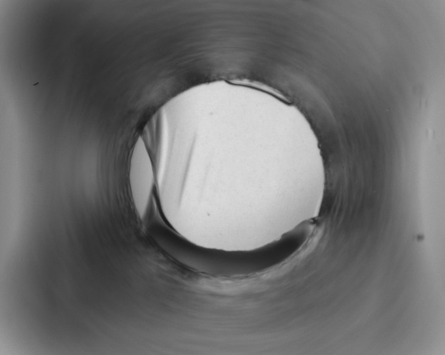 X0000086900041200705141651