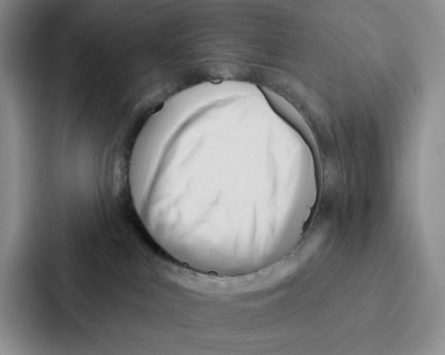 X0000086900043200705141651