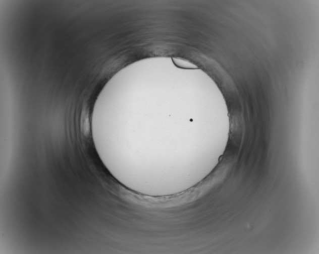 X0000086900046200705141651