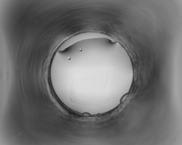 X0000086900049200705141650