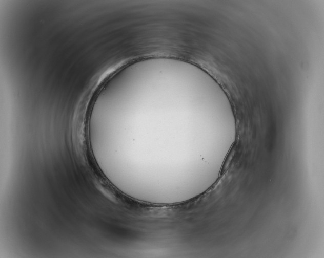 X0000086900050200705141650