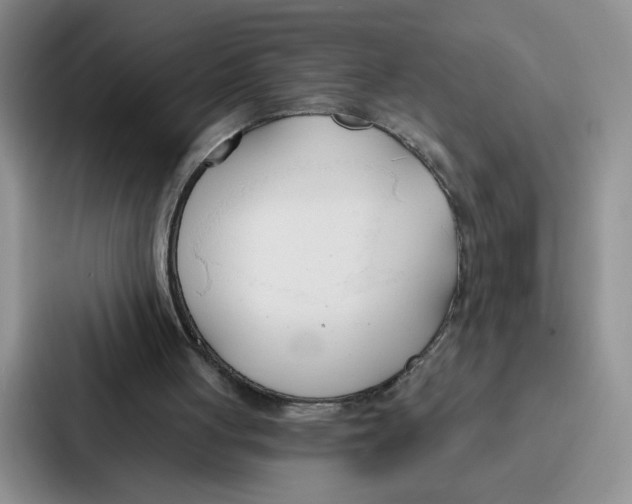 X0000086900051200705141650