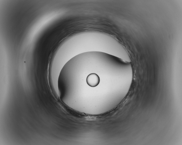 X0000086900052200705141650