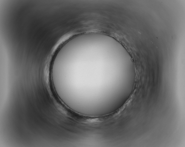 X0000086900054200705141650